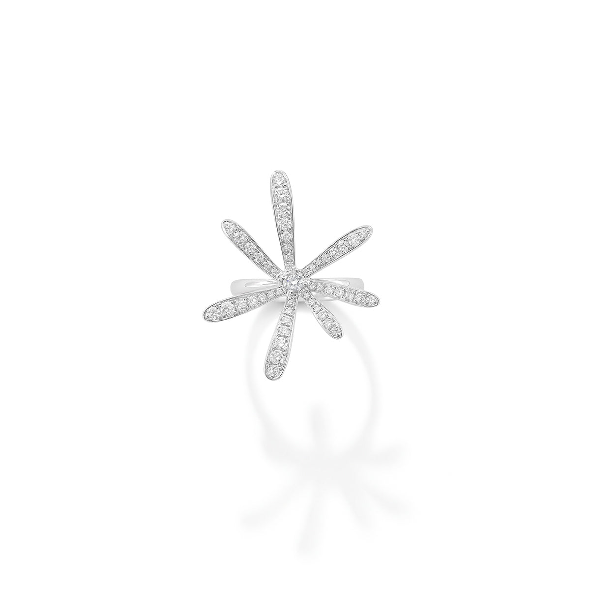 Hypnotica ring