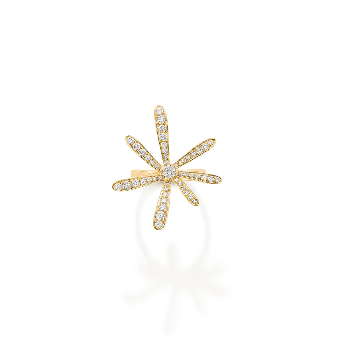 Hypnotica ring
