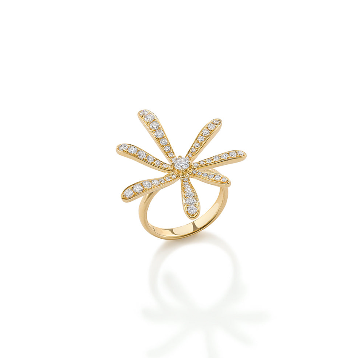 Hypnotica ring
