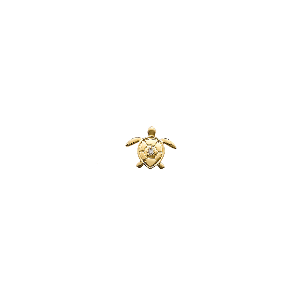 Stud Club Turtle