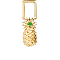 Pineapple Earwish